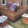 Maize Close - Image 3